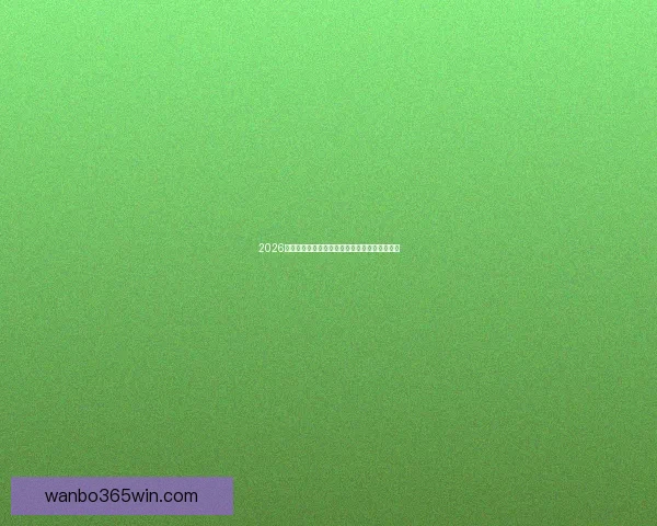 2026世界杯赛场全景解析与各主办城市精彩赛事指南