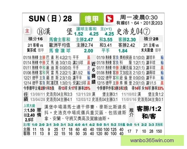 沙尔克04与汉堡激烈争夺球员转会最新动态分析